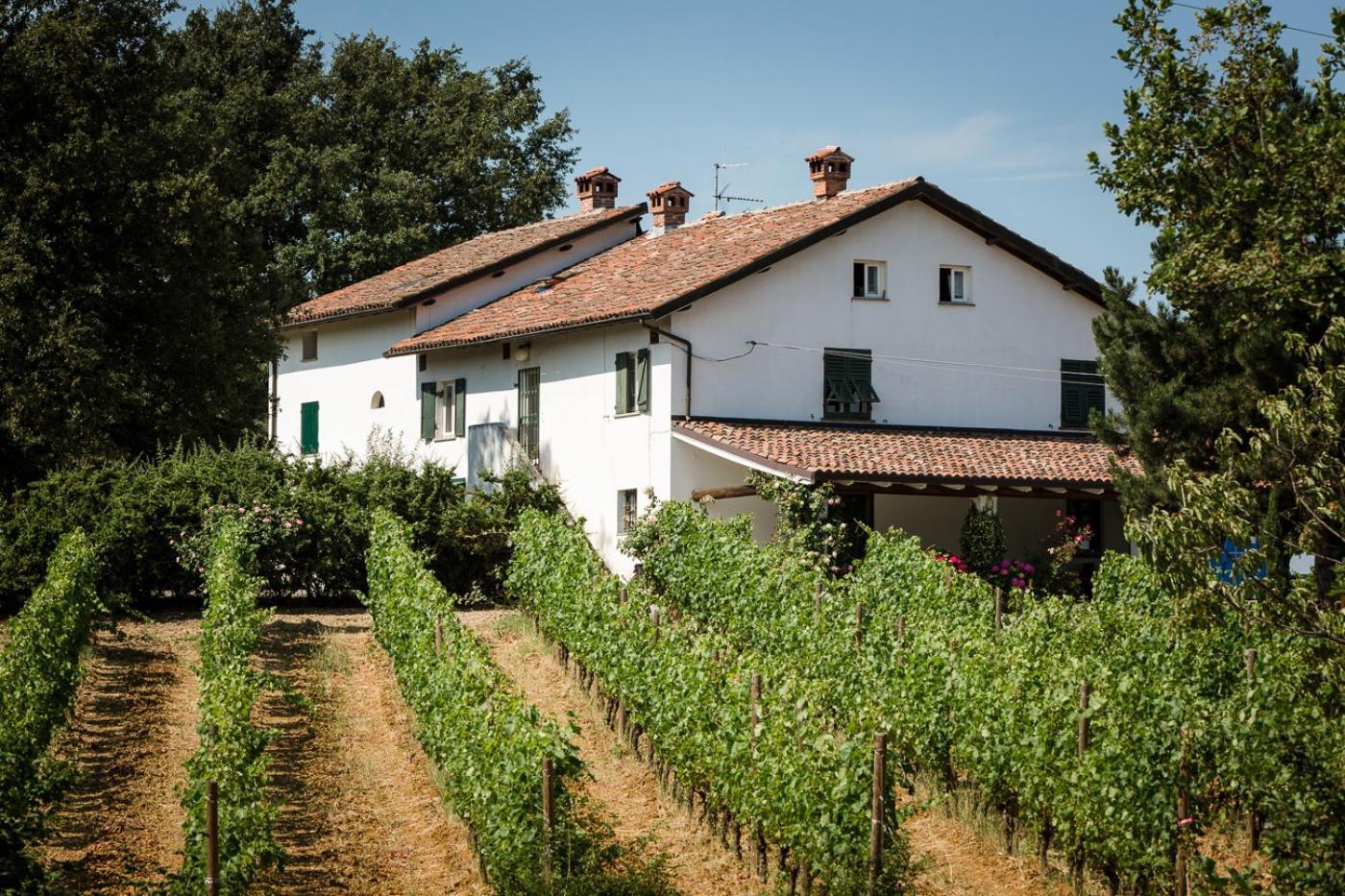 B&B Il Poggio Di Gavi Exterior photo