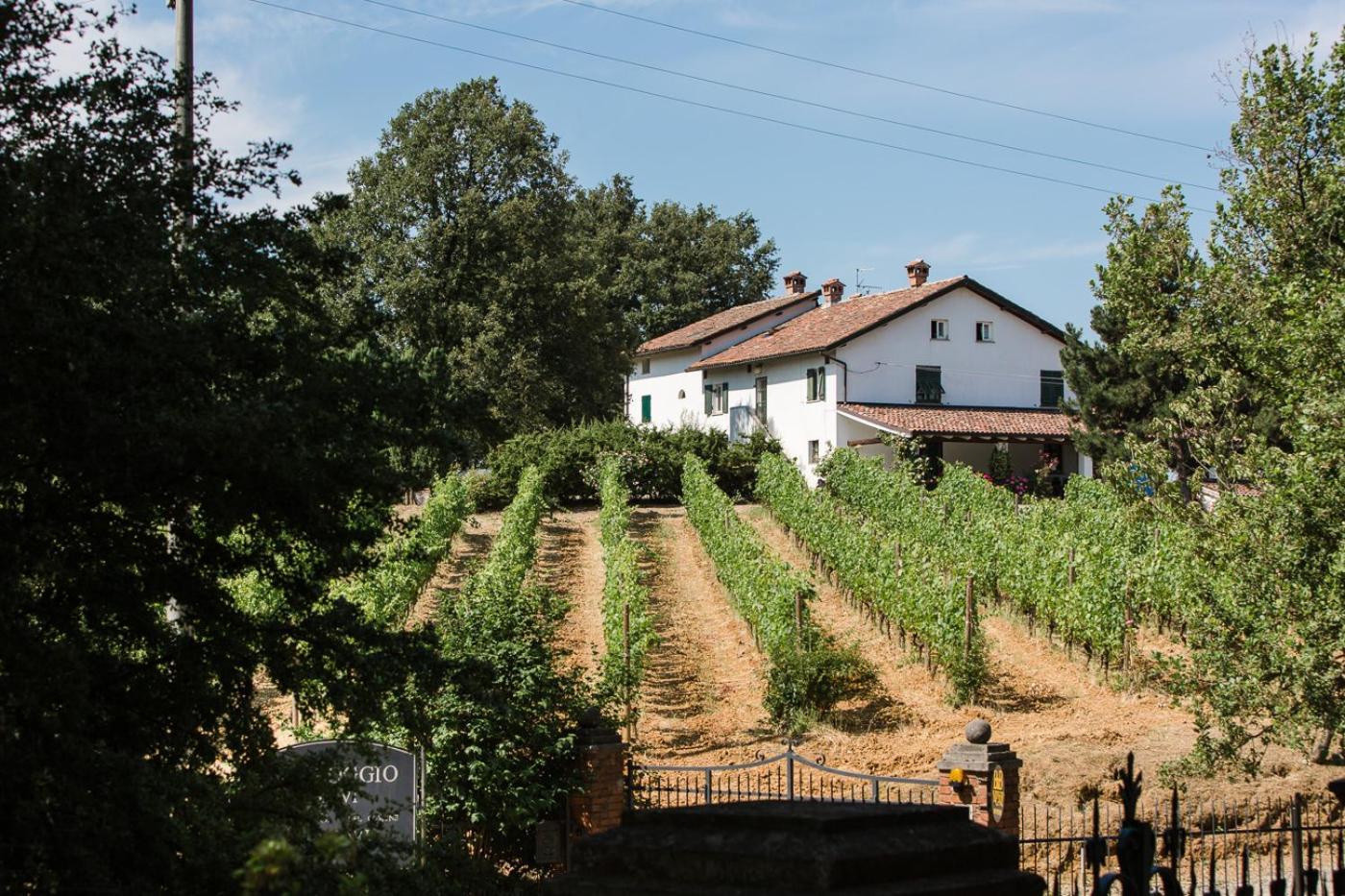 B&B Il Poggio Di Gavi Exterior photo